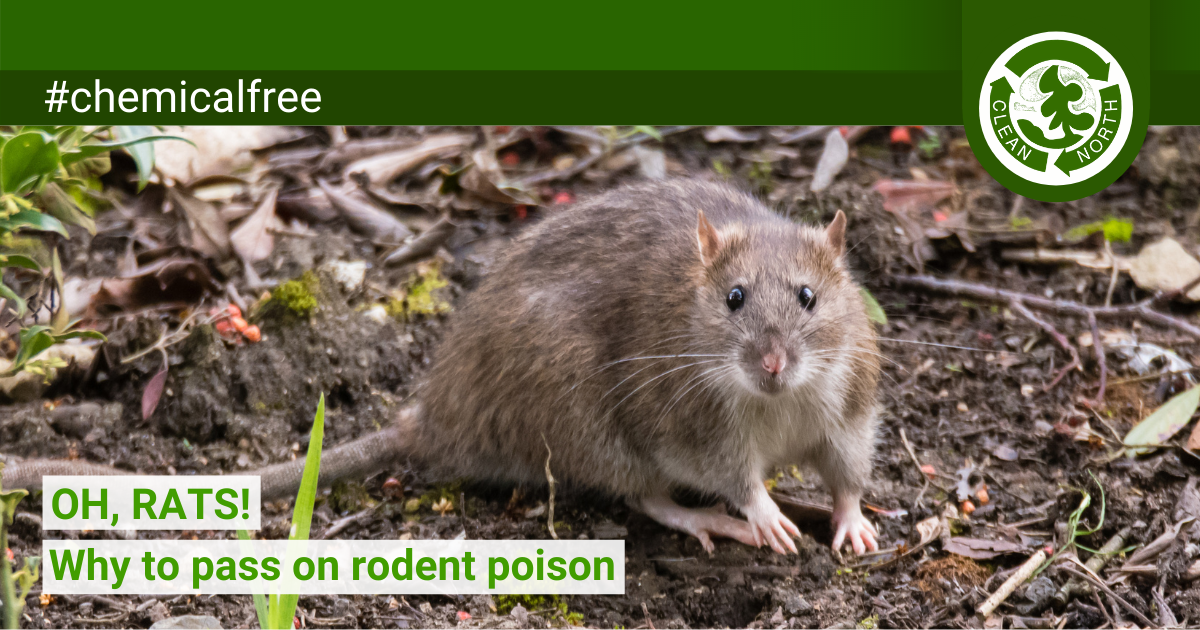 https://www.cleannorth.org/wp-content/uploads/2020/12/Clean-North-rodent-poison-WP-FB.png